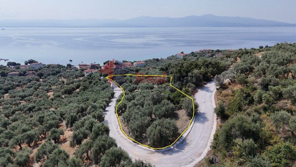 Αγροτεμάχια 4.740 τ.μ. προς πώληση, Άγιος Δημήτριος Πτελεού