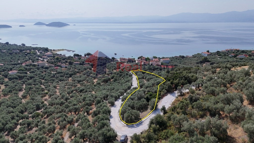 Αγροτεμάχια 4.740 τ.μ. προς πώληση, Άγιος Δημήτριος Πτελεού