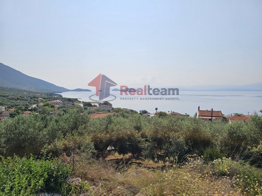 Αγροτεμάχια 4.740 τ.μ. προς πώληση, Άγιος Δημήτριος Πτελεού