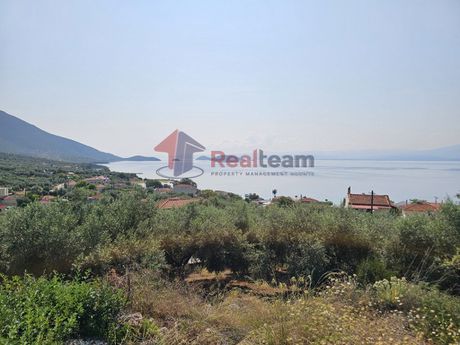 Αγροτεμάχια 4.740τ.μ. για πώληση-Πτελεός