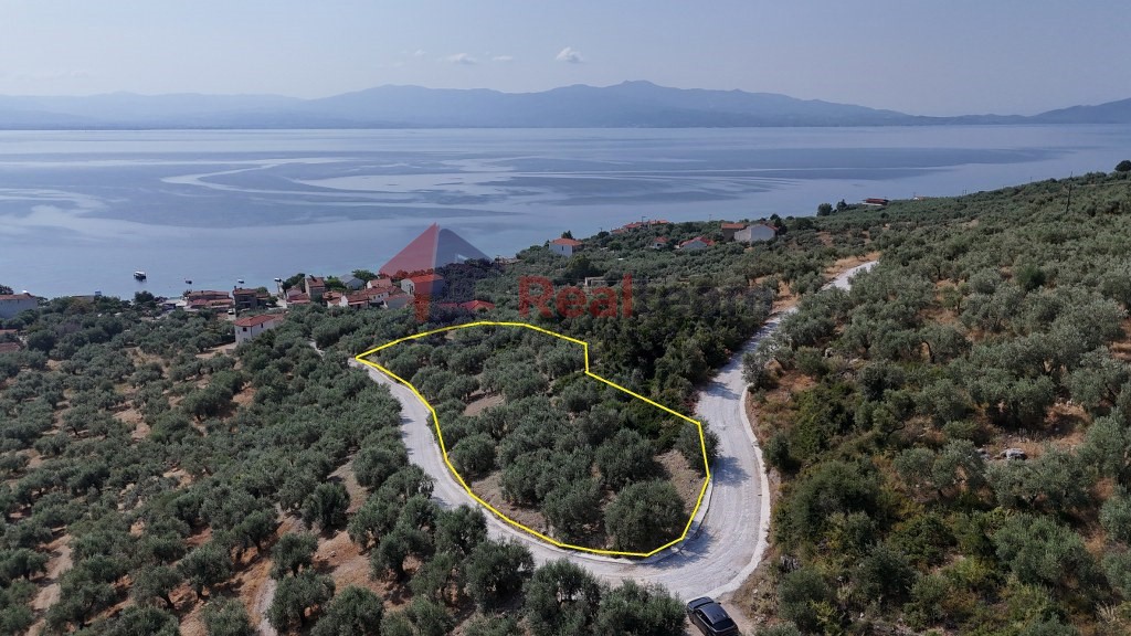 Αγροτεμάχια 4.740 τ.μ. προς πώληση, Άγιος Δημήτριος Πτελεού