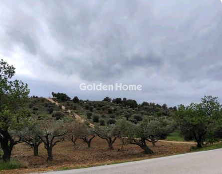 Οικόπεδο 4.100τ.μ. για πώληση-Κουβαράς » Νέος κουβαράς