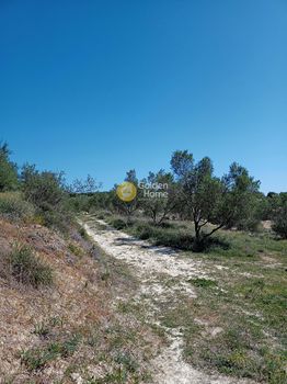 Οικόπεδο 4.619τ.μ. για πώληση-Γούβες » Επάνω βάθεια