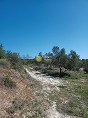 Οικόπεδο 4.619 τ.μ. για πώληση