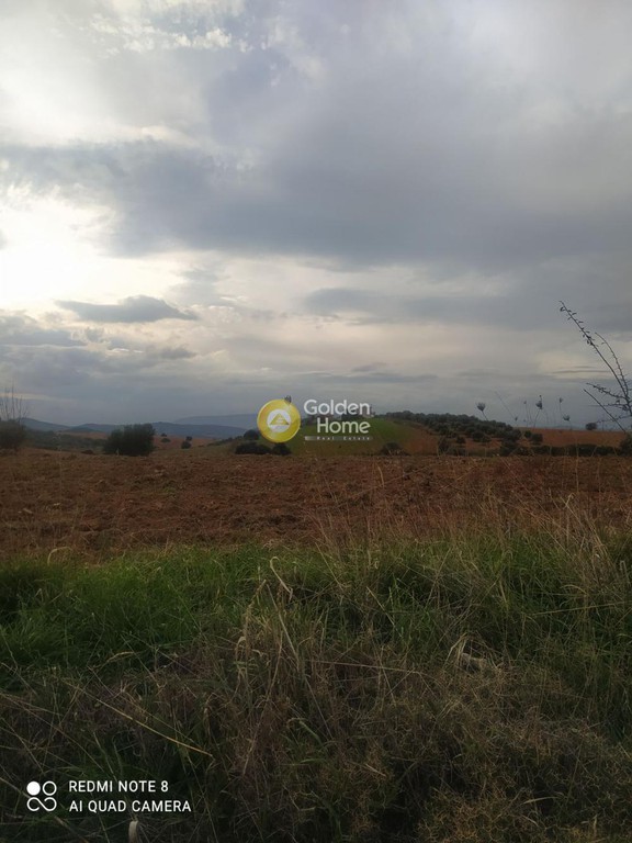 Αγροτεμάχια 1.680 τ.μ. προς πώληση, Κάλαμος Αυλώνας