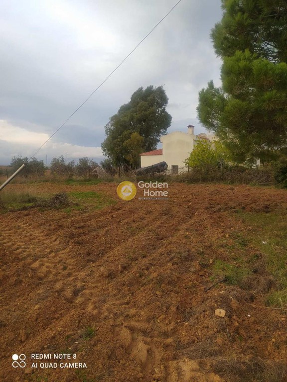 Αγροτεμάχια 1.680 τ.μ. προς πώληση, Κάλαμος Αυλώνας