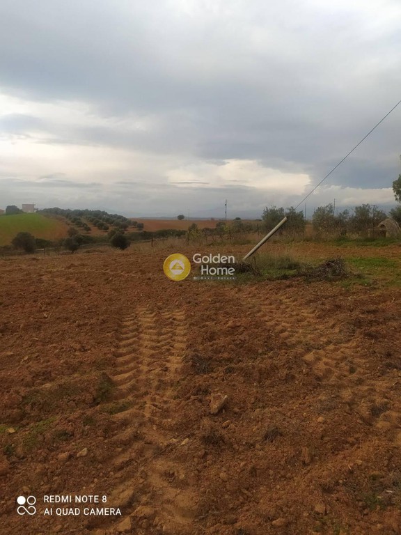 Αγροτεμάχια 1.680 τ.μ. προς πώληση, Κάλαμος Αυλώνας