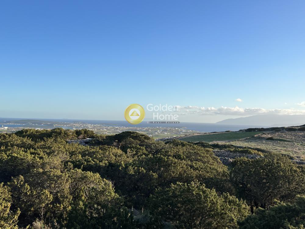 Αγροτεμάχια 28.000 τ.μ. προς πώληση, Μονή Αγίου Αντωνίου