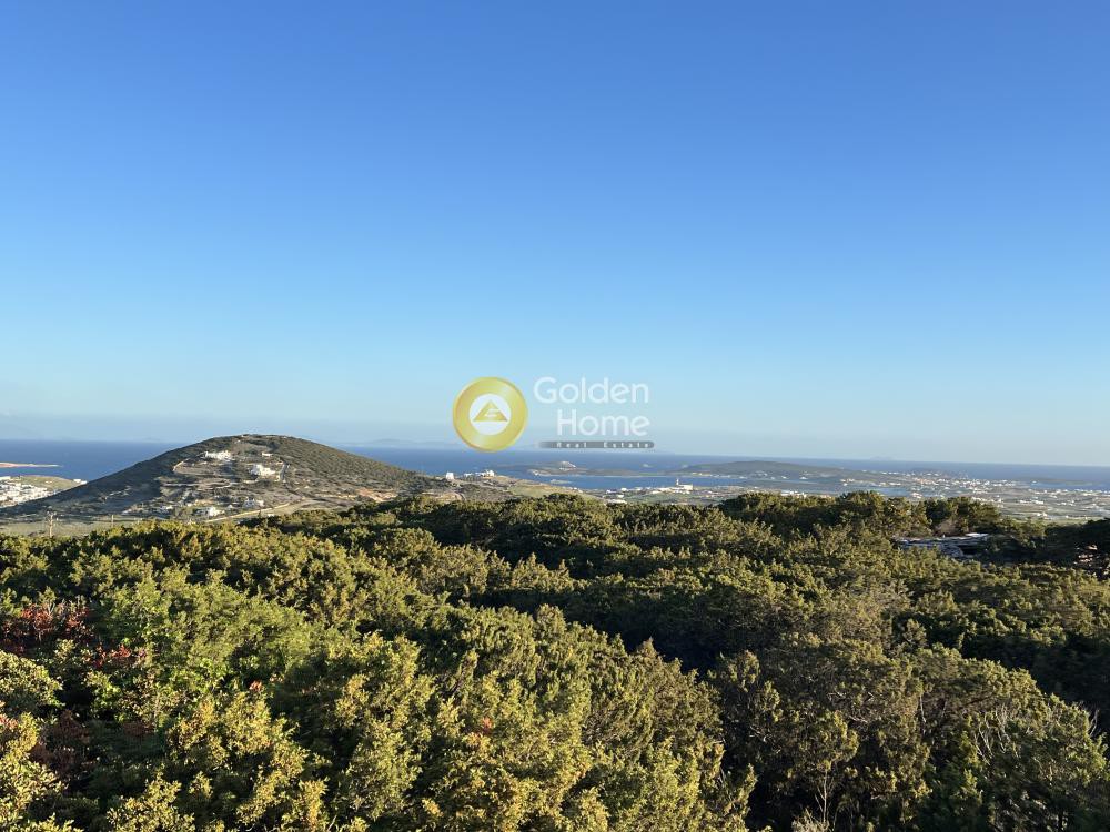 Αγροτεμάχια 28.000 τ.μ. προς πώληση, Μονή Αγίου Αντωνίου