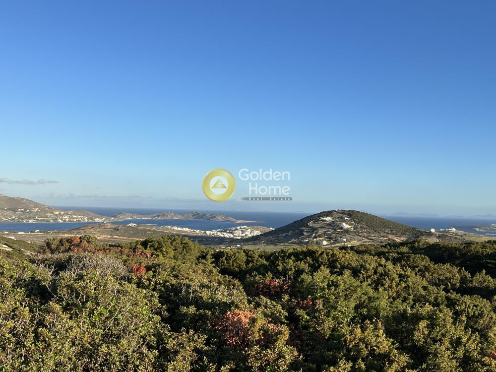 Αγροτεμάχια 28.000 τ.μ. προς πώληση, Μονή Αγίου Αντωνίου