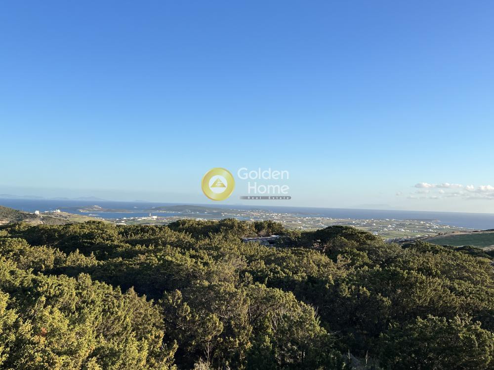 Αγροτεμάχια 28.000 τ.μ. προς πώληση, Μονή Αγίου Αντωνίου