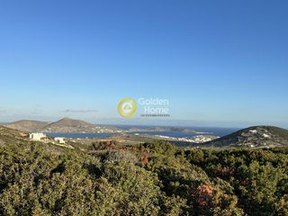 Αγροτεμάχια 28.000 τ.μ. για πώληση