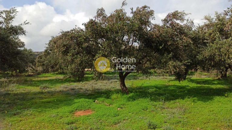 Parcel 11.968 sqm for sale, Heraklion Prefecture, Arkalochori