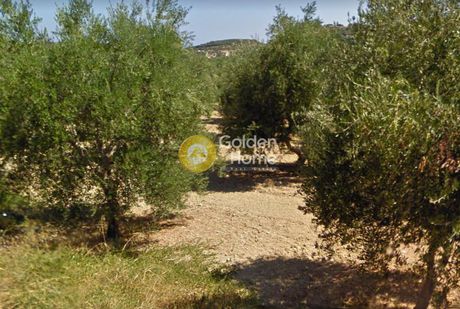 Οικόπεδο 7.500τ.μ. για πώληση-Αρμενοί » Καλύβες