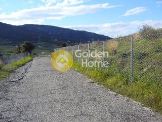 Οικόπεδο 31.000 τ.μ. για πώληση