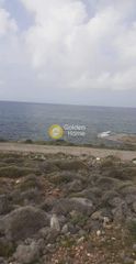 Αγροτεμάχια 6.000 τ.μ. για πώληση, Ν. Λασιθίου, Νεάπολη-thumb-1