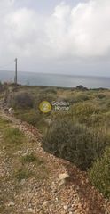 Αγροτεμάχια 6.000 τ.μ. για πώληση
