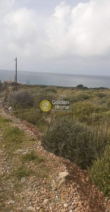 Αγροτεμάχια 6.000 τ.μ. για πώληση, Ν. Λασιθίου, Νεάπολη