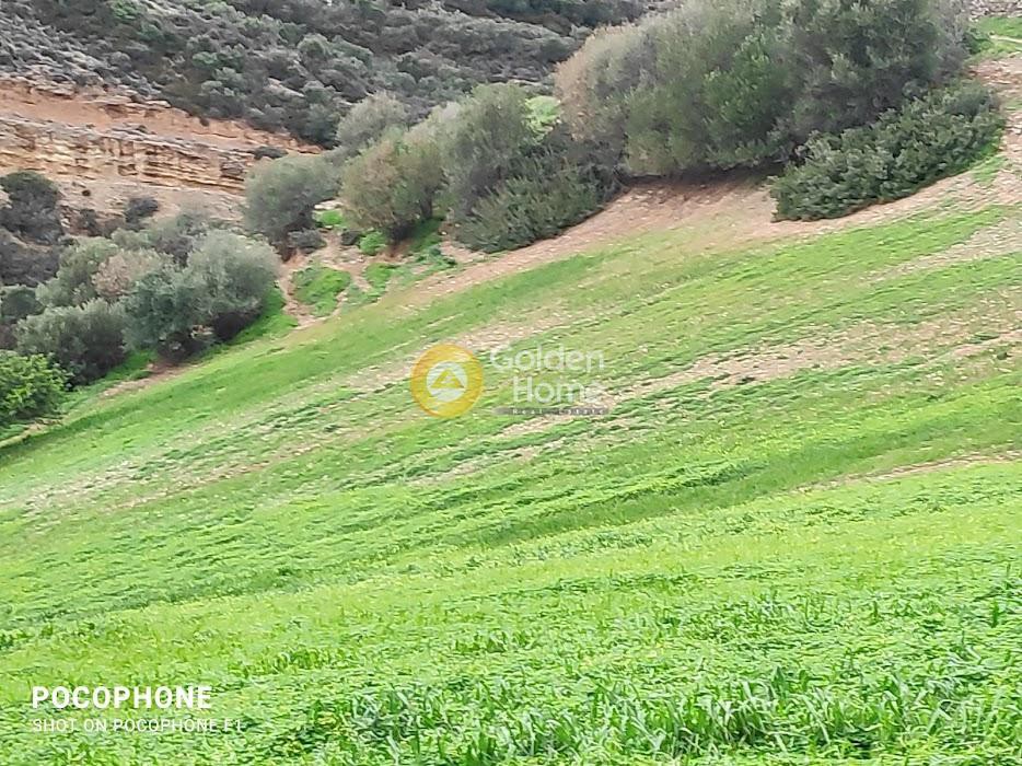 Οικόπεδο 50.000 τ.μ. πρός πώληση, Ν. Ρεθύμνου, Λάμπη