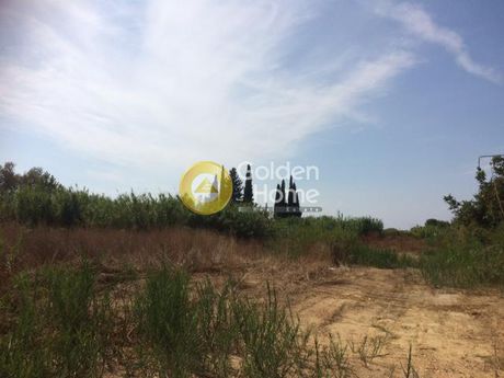 Αγροτεμάχια 1.000τ.μ. για πώληση-Μακρύς γιαλός » Βάρδα