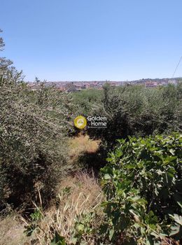 Οικόπεδο 4.456τ.μ. για ενοικίαση-Ηράκλειο κρήτης » Εσταυρωμένος