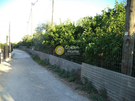 Αγροτεμάχια 2.945τ.μ. για πώληση-Αίγιο » Τέμενη