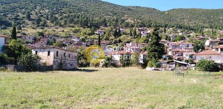Οικόπεδο 2.469τ.μ. για πώληση-Αμφίκλεια » Σταθμός