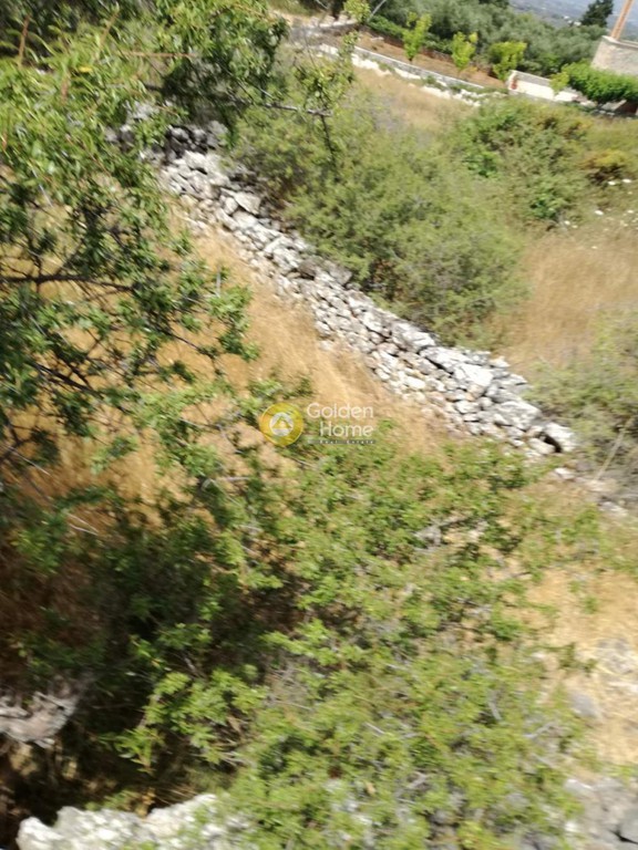 Οικόπεδο 2.077 τ.μ. προς πώληση, Κεφαλάς Βάμου