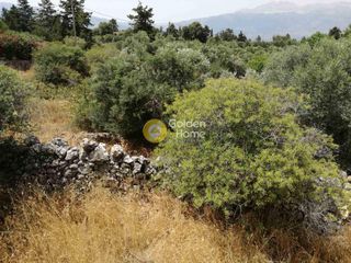 Οικόπεδο 2.077 τ.μ. για πώληση