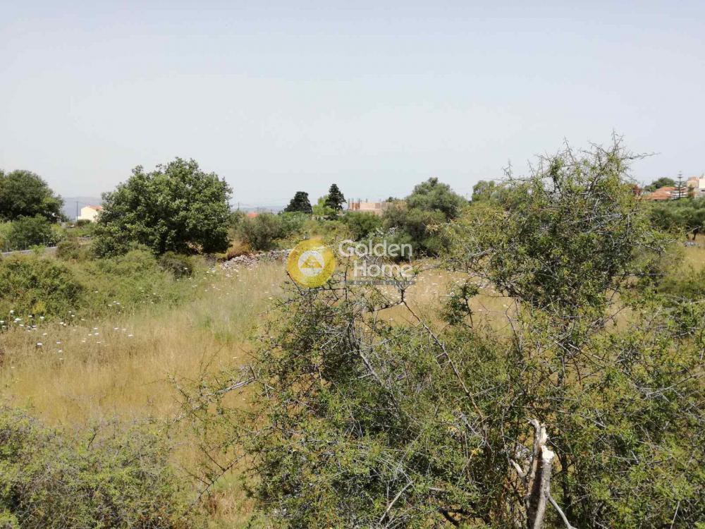 Οικόπεδο 2.077 τ.μ. προς πώληση, Κεφαλάς Βάμου