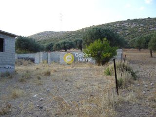 Αγροτεμάχια 1.178 τ.μ. για πώληση