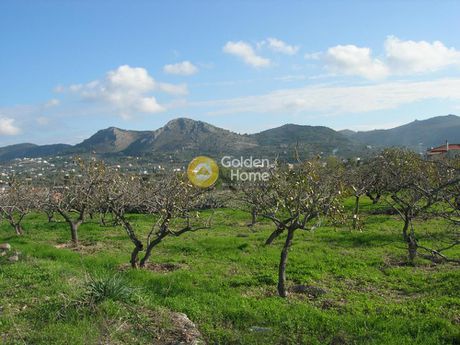 Land plot 3.087sqm for sale-Aegina » Kipseli