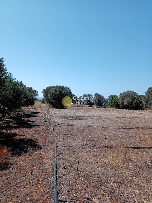 Αγροτεμάχια 2.700 τ.μ. προς πώληση, Κέντρο Τυμπακίου