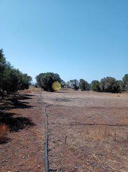 Parcel 2.700sqm for sale-Timpaki » Center