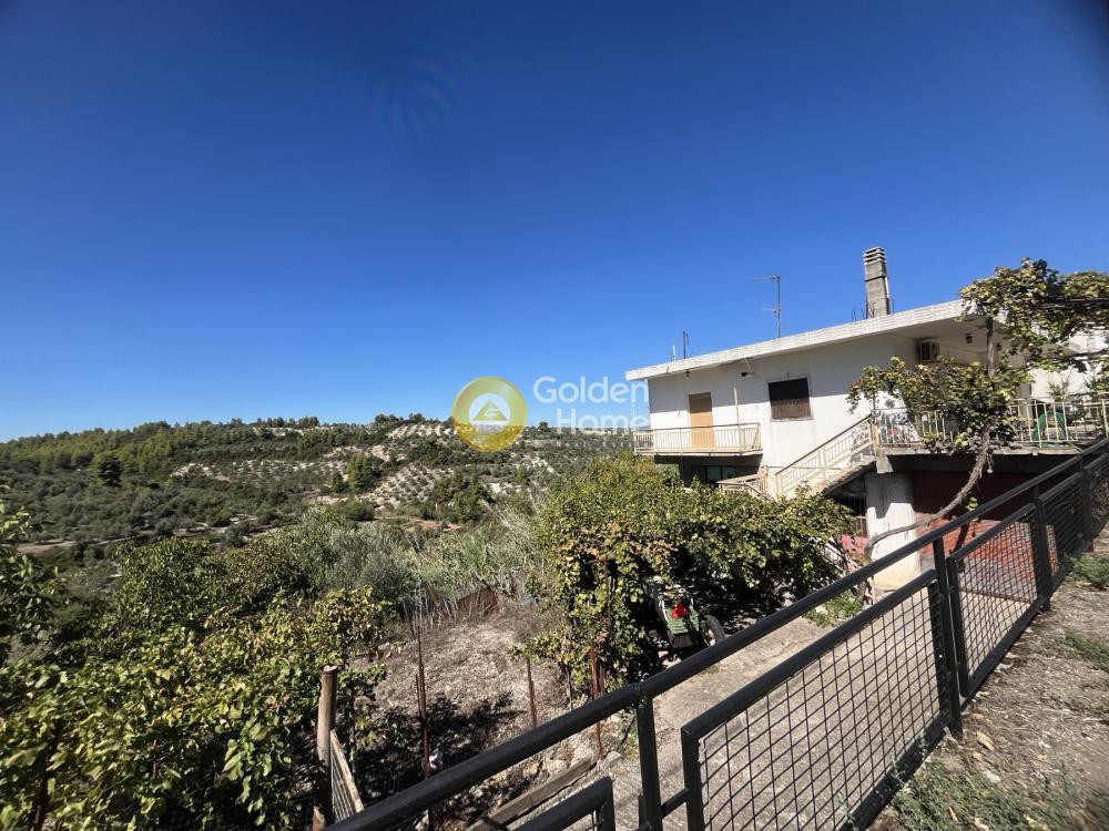 Μονοκατοικία 130 τ.μ. προς πώληση, Μάζι Μαλεσίνας