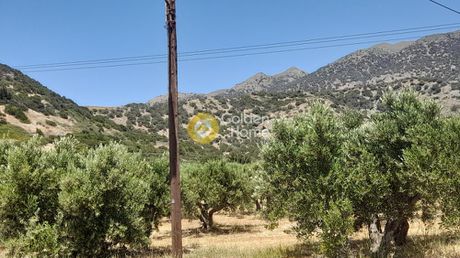 Οικόπεδο 4.085τ.μ. για πώληση-Βιαννός » Καστρί