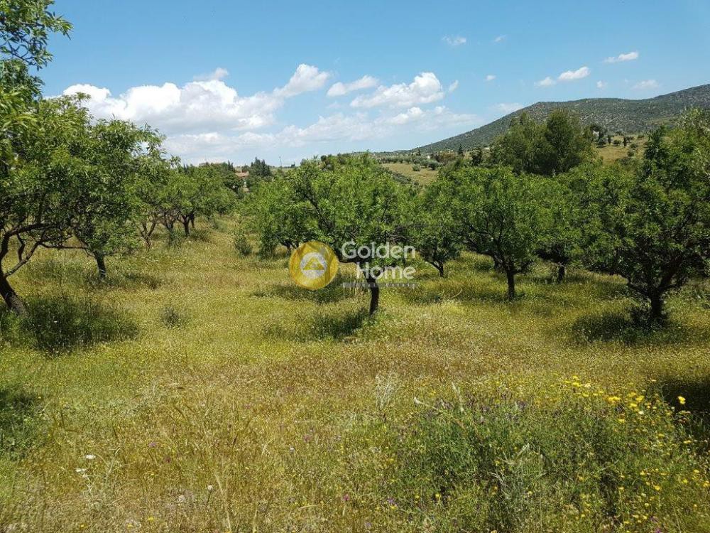 Μονοκατοικία 155 τ.μ. προς πώληση, Κίτσι