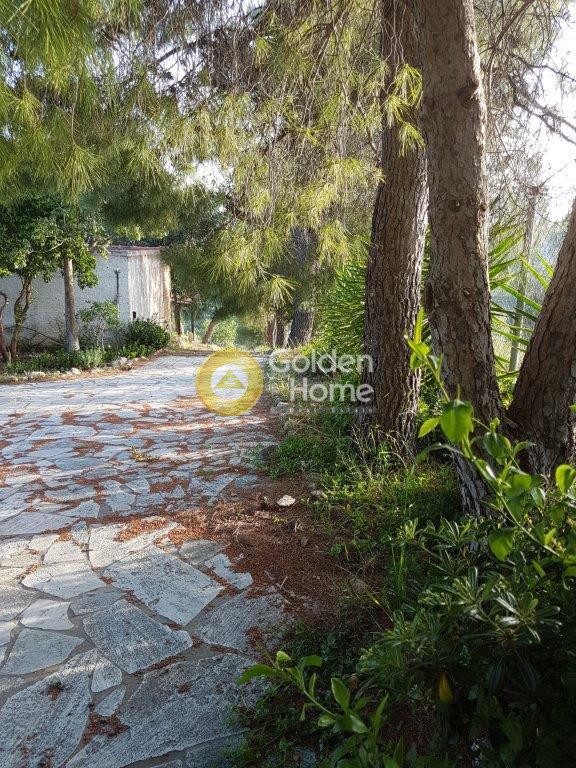 Μονοκατοικία 155 τ.μ. προς πώληση, Κίτσι