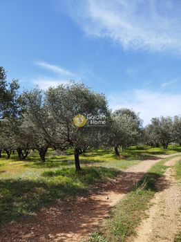 Αγροτεμάχια 2.800τ.μ. για πώληση-Αρκαλοχώρι » Νιπιδιτός