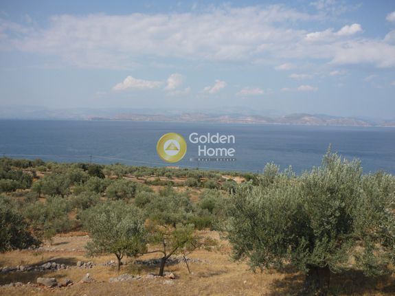 Αγροτεμάχια 6.250 τ.μ. για πώληση, Αρκαδία, Βόρεια Κυνουρία