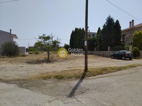 Οικόπεδο 408τ.μ. για πώληση-Ευρωστίνη » Εβροστίνα