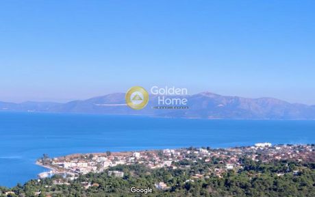 Οικόπεδο 6.645τ.μ. για πώληση-Ωρωπός » Νέο λιβύσσι
