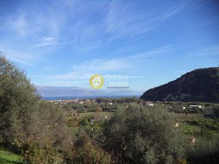 Αγροτεμάχια 1.542 τ.μ. για πώληση
