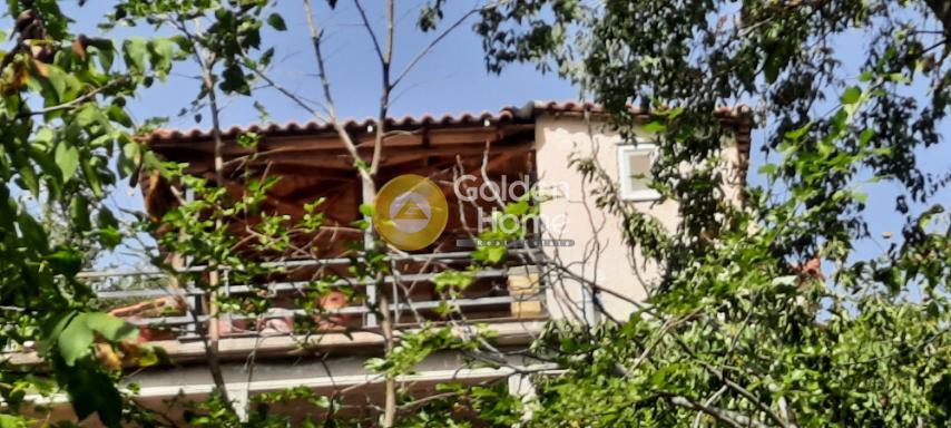 Μονοκατοικία 90 τ.μ. προς πώληση, Αλευρού