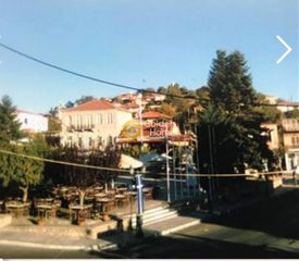 Κτίριο 410 τ.μ. για πώληση, Αρκαδία, Λεβίδι-thumb-2