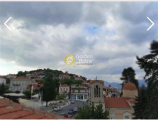 Κτίριο 410 τ.μ. για πώληση, Αρκαδία, Λεβίδι-thumb-3
