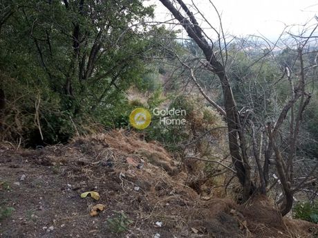 Οικόπεδο 1.242τ.μ. για πώληση-Αφίδνες » Κιούρκα
