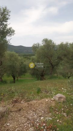 Land plot 9.000 sqm for sale, Aetolia & Acarnania, Chalkeia