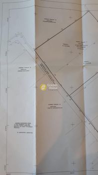 Αγροτεμάχια 16.530 τ.μ. για πώληση