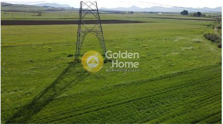 Parcel 8.000sqm for sale-Polidamantas » Kato Dasolofos
